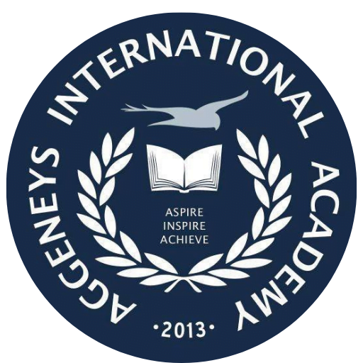 AGGENEYS INTERNATIONAL ACADEMY